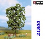 21800 Noch Chestnut Tree, 19,5 cm