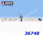 36748 Ovčák se stádem ovcí, N