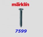 7599  Marklin Track Screws