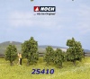 25410 Noch Keře zelené, 5 ks