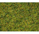 07073 Noch Směs travin - Pastviny, 50 g, 2,5-6 mm
