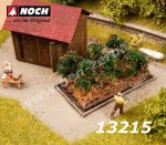13215 Noch Rajčata - rostliny, 6 ks