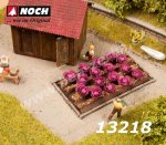 13218 Noch Red Cabbage, 16 plants, H0