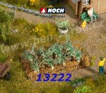 13222 Noch Leek , 16 plants, H0