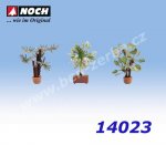 14023 Noch Mediterranean Plants, 3 pcs, H0
