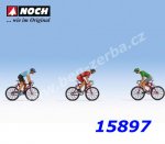 15897 Racing bicycle driver, H0