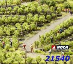 21540 Noch Vines 24 pcs, H0,TT