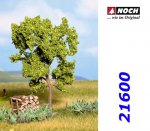 21600 Noch Green Pear Tree, 11, 5 cm, H0, TT