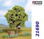 21690 Noch Beech, 13 cm