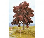 21730 Noch Copper Beech, 14 cm high