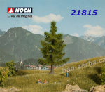 21815 Noch Smrk, výška 12 cm, H0, TT, N