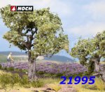 21995 Noch Olive Trees 2 pcs, H0/TT