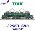 22963 Trix Elektrická lokomotiva řady Ce 6/8 I "Köfferli", SBB, Zvuk