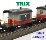 24650 Trix  Set of 2 service escort cars Type Db "Sputnik" for "Swiss Express" of the SBB
