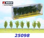 25098 Noch Poplars, 7 pieces