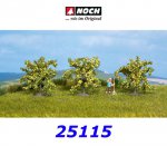 25115 Noch Lemon trees, 3 pcs., 3,2 in.