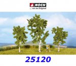 25120 Noch Set of 3 Birches, 8 and 10 cm