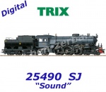 25490 Trix Parní lokomotiva řady F 1200, SJ - Zvuk
