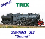 25490 Trix Parní lokomotiva řady F 1200, SJ - Zvuk