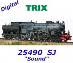 25490 Trix Steam locomotive Class F 1200 of the SJ - Sound