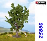 25860  Noch Oak, 15 cm, H0/TT