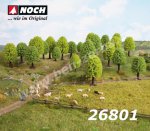 26801 Noch 25 Deciduous Trees,  H0/TT, 5 - 9 cm