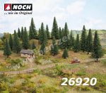 26920 Noch Model Fir Trees, 10 pieces, 5-14 cm high