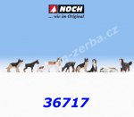 36717 Noch Dogs, 9 Figures, N