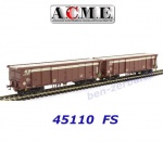 45110 A.C.M.E. ACME Set 2 vagónů typu Taems s posuvnou střechou , FS