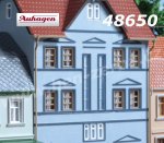 48650 Auhagen Mullion windows and doors, H0/ TT