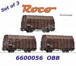 6600056 Roco Set 3 vozů pro transport pilin řady Fb, OBB
