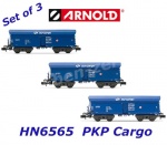 HN6565 Arnold N Set 3 samovýsypných nákladních vozů řady Falls, PKP Cargo