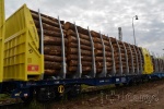 S657009 Sudexpress Dvojitý vůz pro přepravu dřeva Sggmrss, ČD Cargo